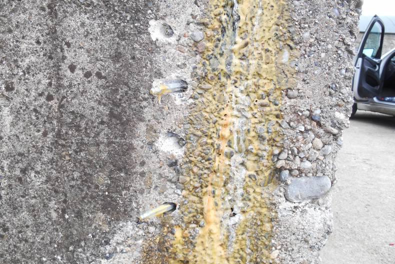 Rainwater harvesting helps to save costs Rainwater harvesting helps to save costs