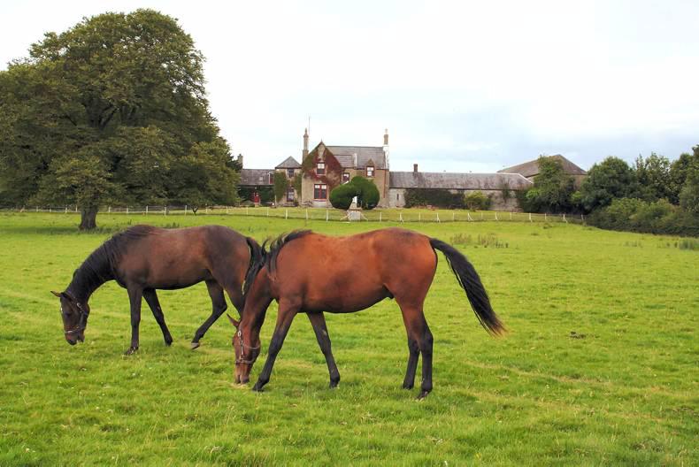 Property: 383-acre old world gem in Co Westmeath Property: 383-acre old world gem in Co Westmeath