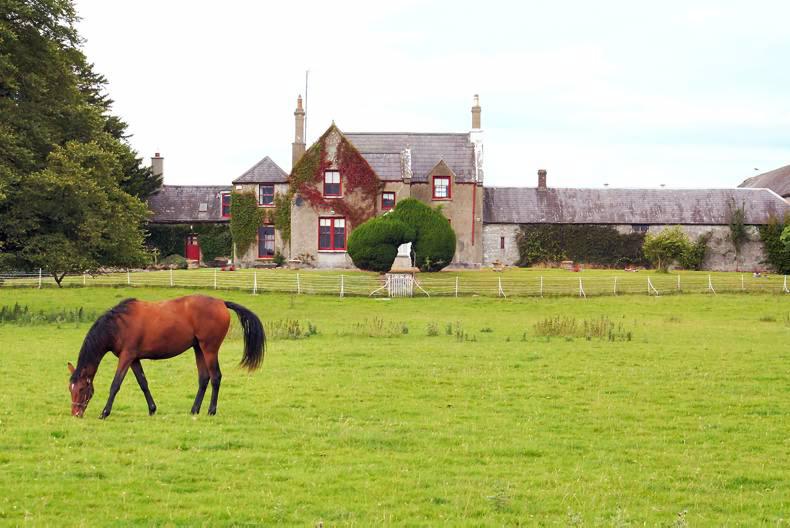 Property: 383-acre old world gem in Co Westmeath Property: 383-acre old world gem in Co Westmeath