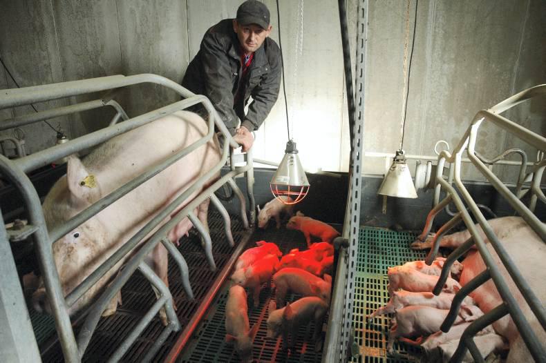 French pigmeat market to reopen without main processors French pigmeat market to reopen without main processors