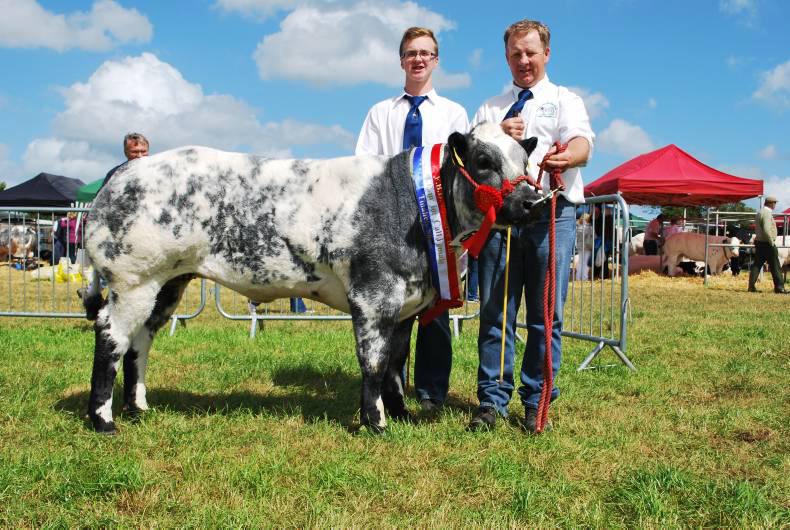 Laois breeder wins three major titles Laois breeder wins three major titles