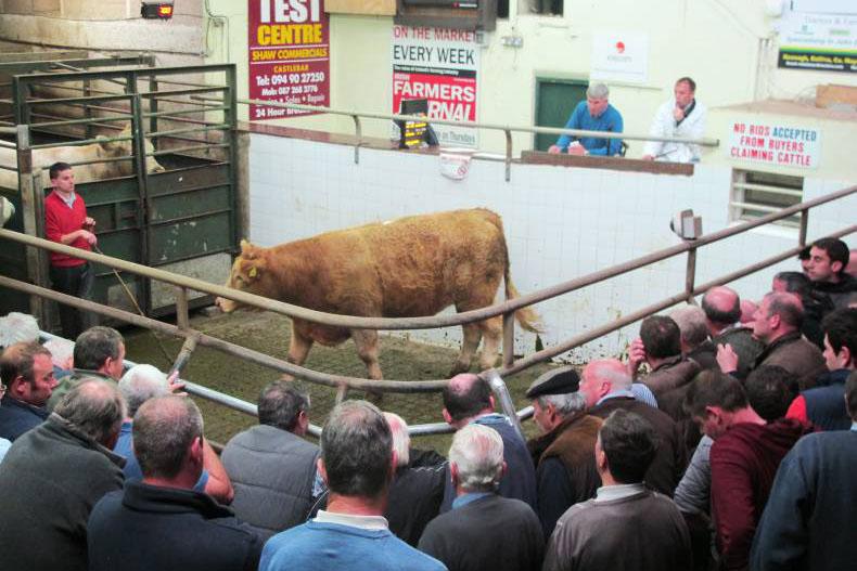 2015 mart prices highest on record 2015 mart prices highest on record