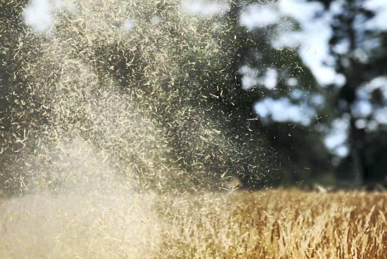 Friday grain market update: prices variable in US and Europe Friday grain market update: prices variable in US and Europe