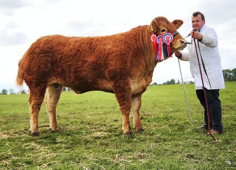 Ice Princess does it again at Elphin Show Ice Princess does it again at Elphin Show