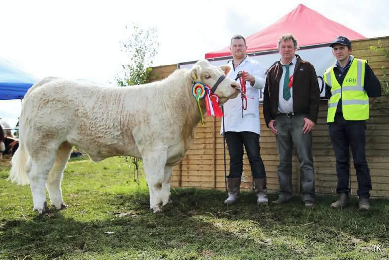 Ice Princess does it again at Elphin Show Ice Princess does it again at Elphin Show