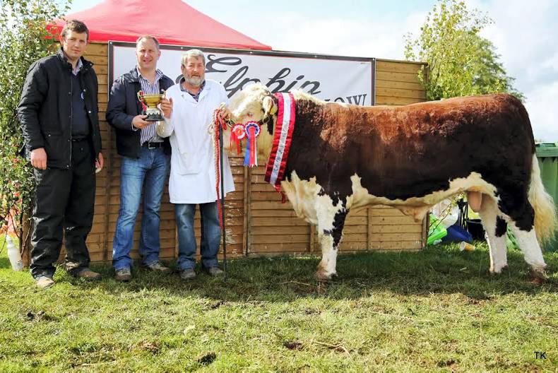 Ice Princess does it again at Elphin Show Ice Princess does it again at Elphin Show