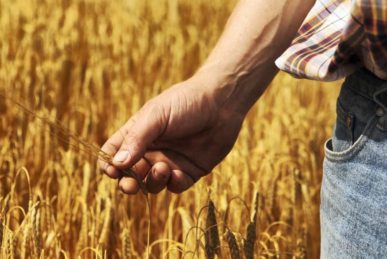 Monday grain market update: markets regain some stability Monday grain market update: markets regain some stability