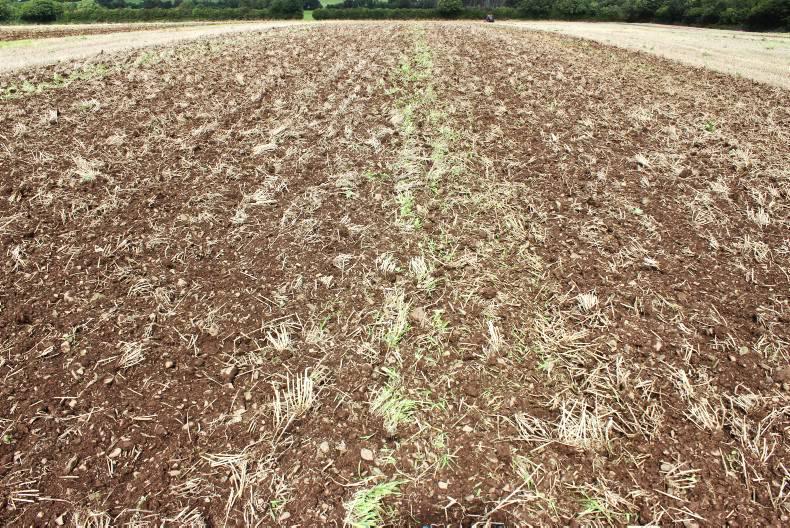 The best disc harrows put to the test The best disc harrows put to the test