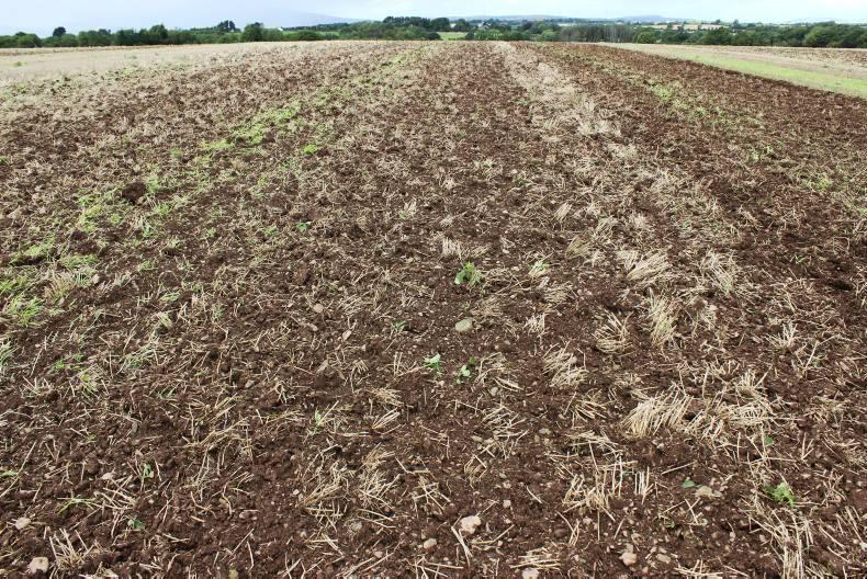 The best disc harrows put to the test The best disc harrows put to the test