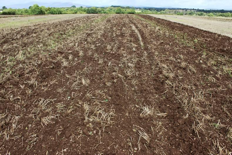 The best disc harrows put to the test The best disc harrows put to the test