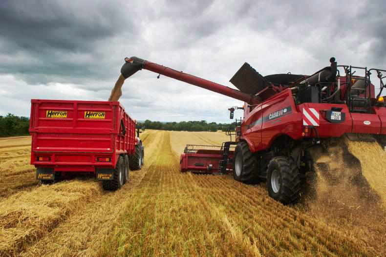 Thursday grain market update: Grain prices in Europe under pressure Thursday grain market update: Grain prices in Europe under pressure