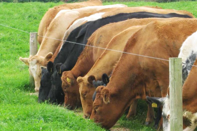 AIM data shows tightness in supplies AIM data shows tightness in supplies