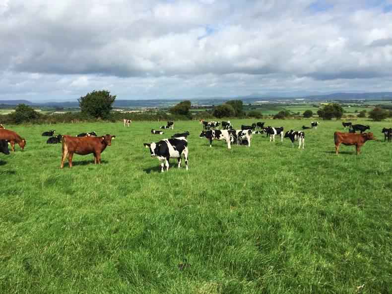 Dairy management notes - weather, winter and the Ploughing Dairy management notes - weather, winter and the Ploughing