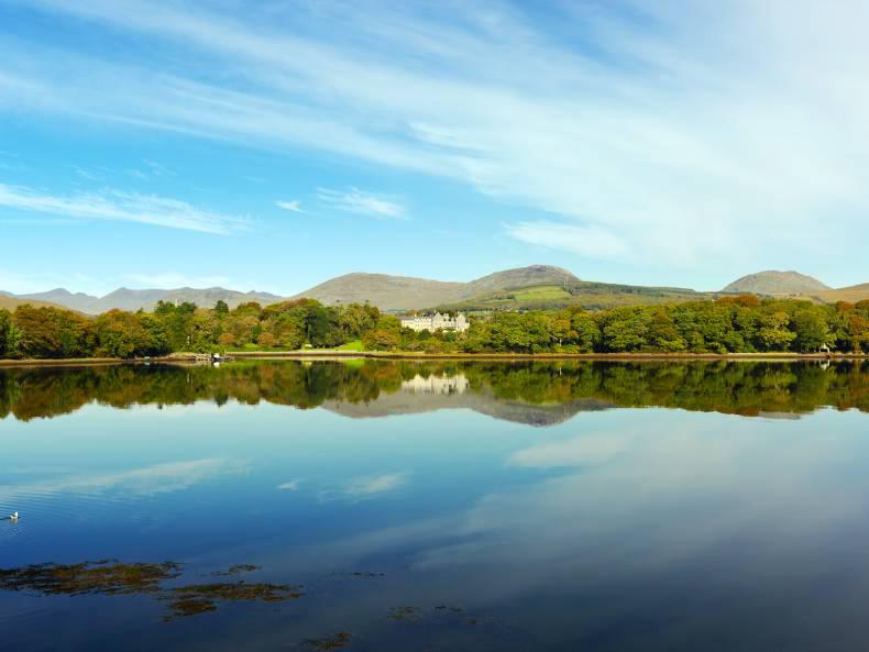 Living Life: Fantastic Francis Living Life: Fantastic Francis