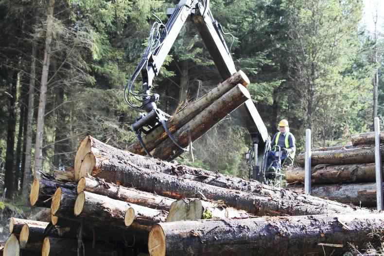 Importance of mobilising the Irish timber resource 30 September 2015