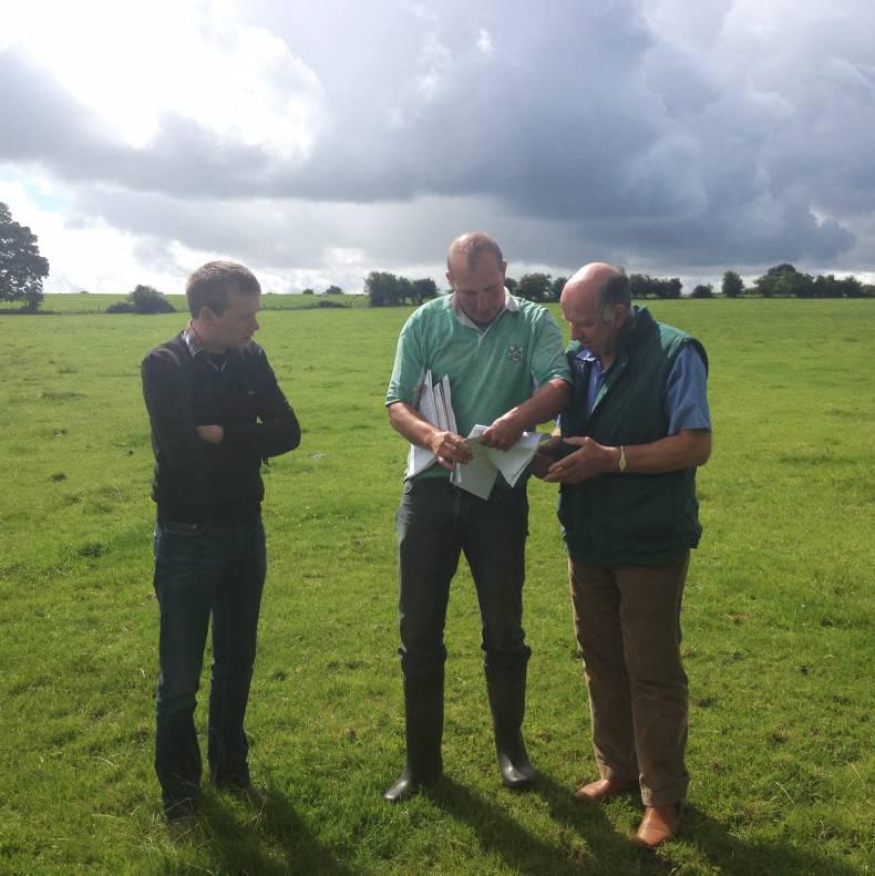 Maternal focus on Meath suckler farm Maternal focus on Meath suckler farm