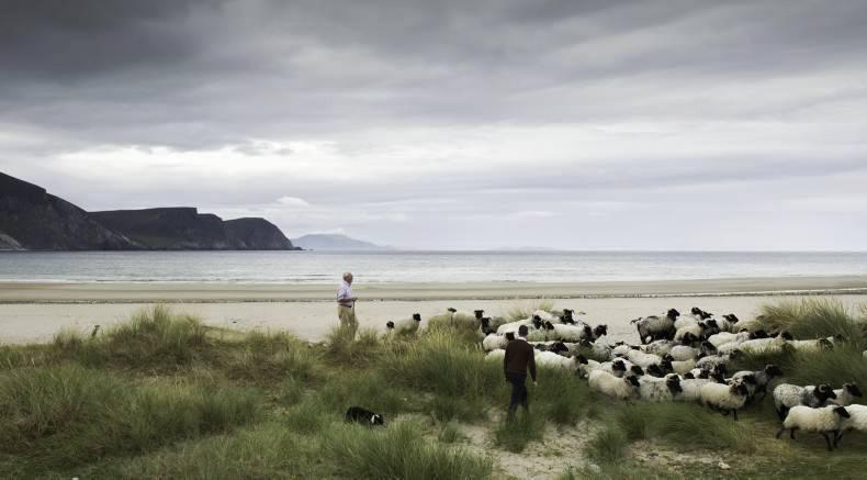 GLAS payments to fall sharply GLAS payments to fall sharply