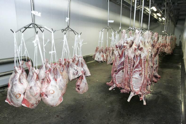 Lamb prices hold at €4.70/kg despite drop in base quotes Lamb prices hold at €4.70/kg despite drop in base quotes