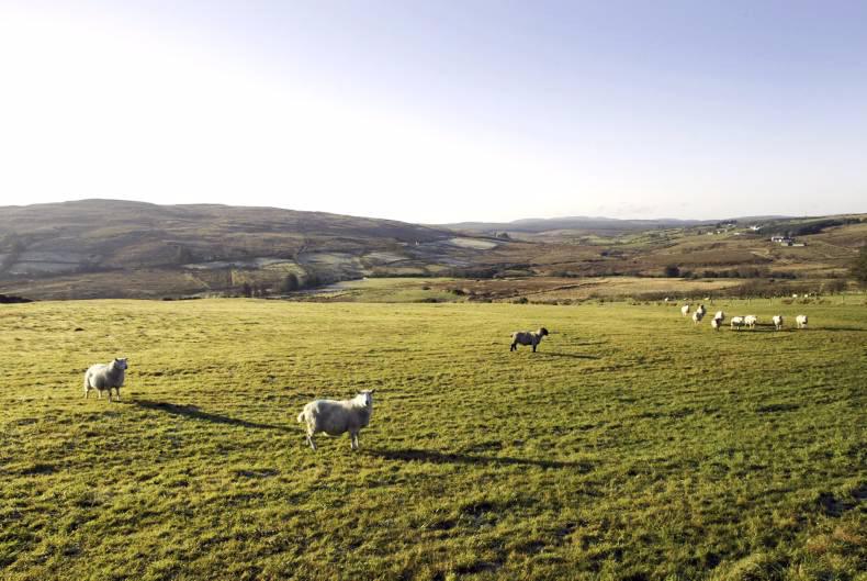 Unannounced inspection under Basic Payment Scheme Unannounced inspection under Basic Payment Scheme