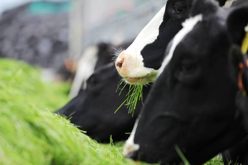 UK dairy farmer aid due in December UK dairy farmer aid due in December