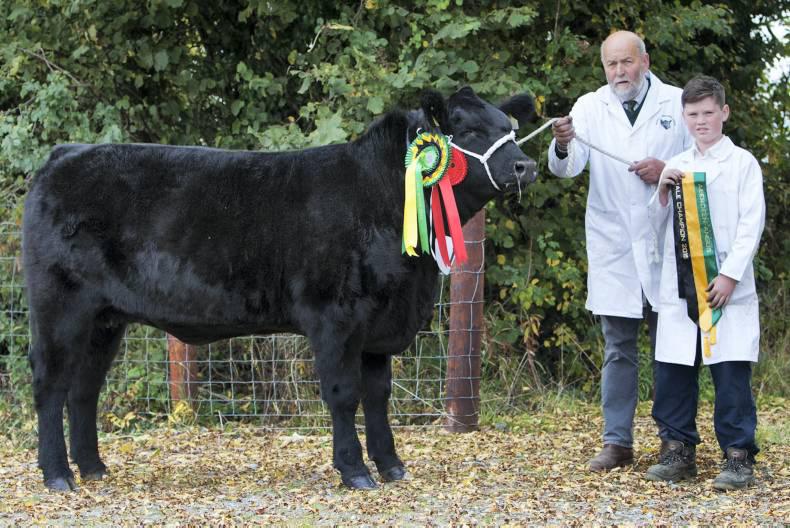 Double win for Longford breeders Double win for Longford breeders