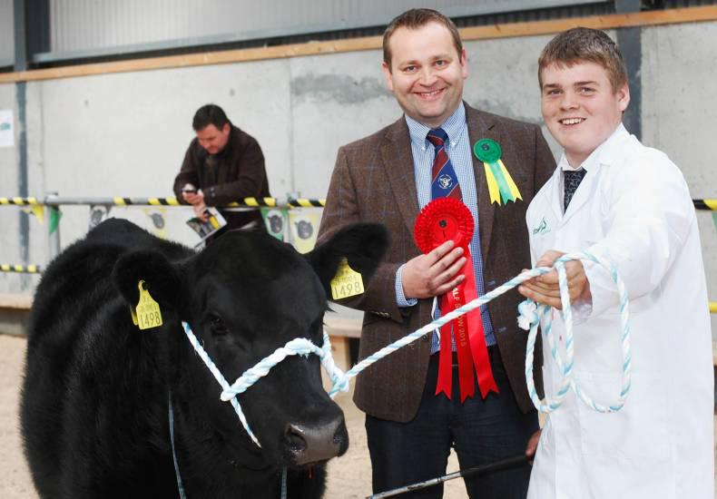 Double win for Longford breeders Double win for Longford breeders