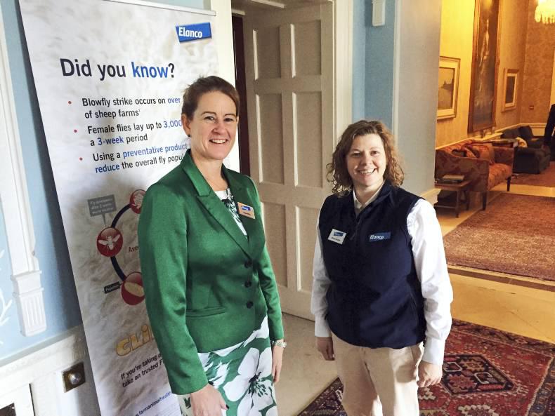 Pharma company Elanco targeting Irish dairy growth Pharma company Elanco targeting Irish dairy growth