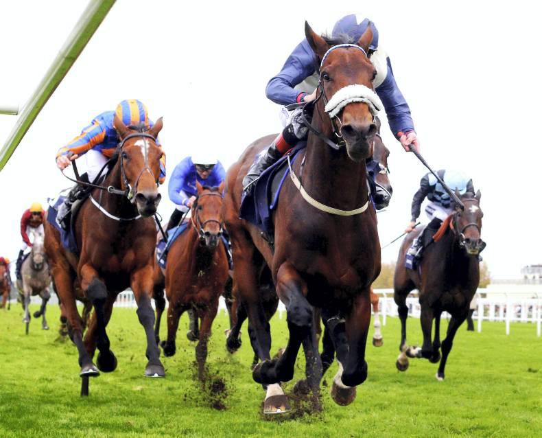 Fascinating Rock delivers for Weld Fascinating Rock delivers for Weld