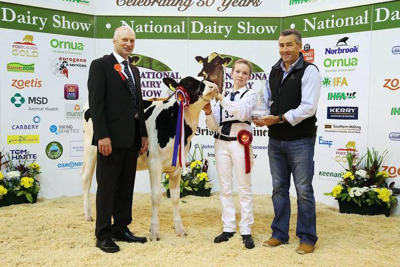 The 33rd National Dairy Show showcases the best of Irish dairy breeding The 33rd National Dairy Show showcases the best of Irish dairy breeding