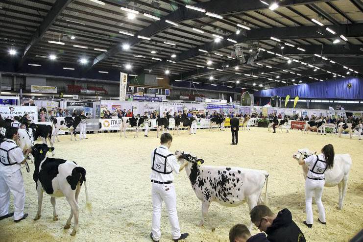 The 33rd National Dairy Show showcases the best of Irish dairy breeding The 33rd National Dairy Show showcases the best of Irish dairy breeding