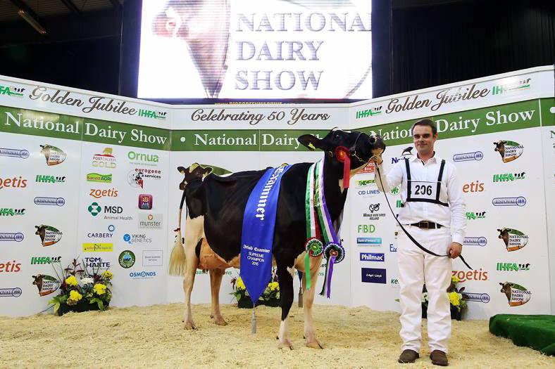 The 33rd National Dairy Show showcases the best of Irish dairy breeding The 33rd National Dairy Show showcases the best of Irish dairy breeding