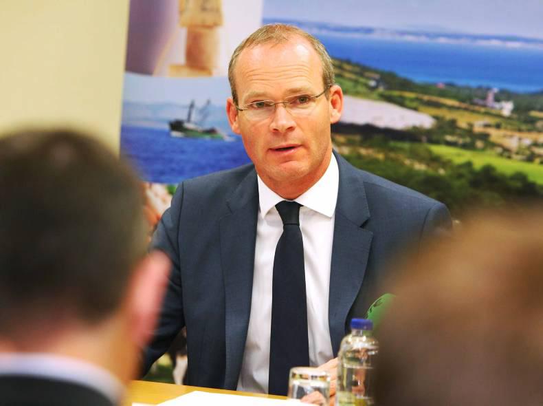 Coveney urges common sense over WHO report Coveney urges common sense over WHO report