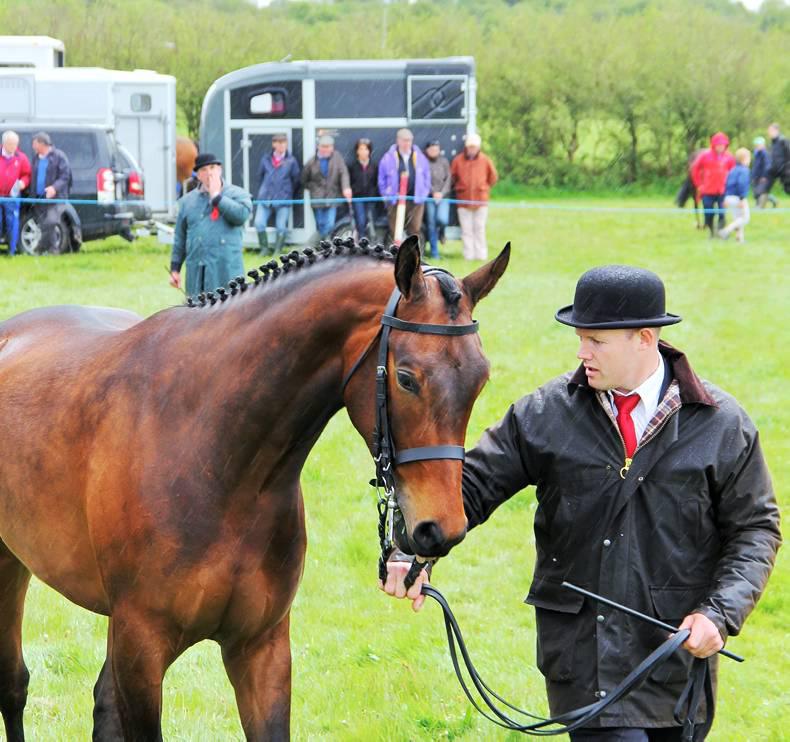 Top breeders scoop HSI awards Top breeders scoop HSI awards