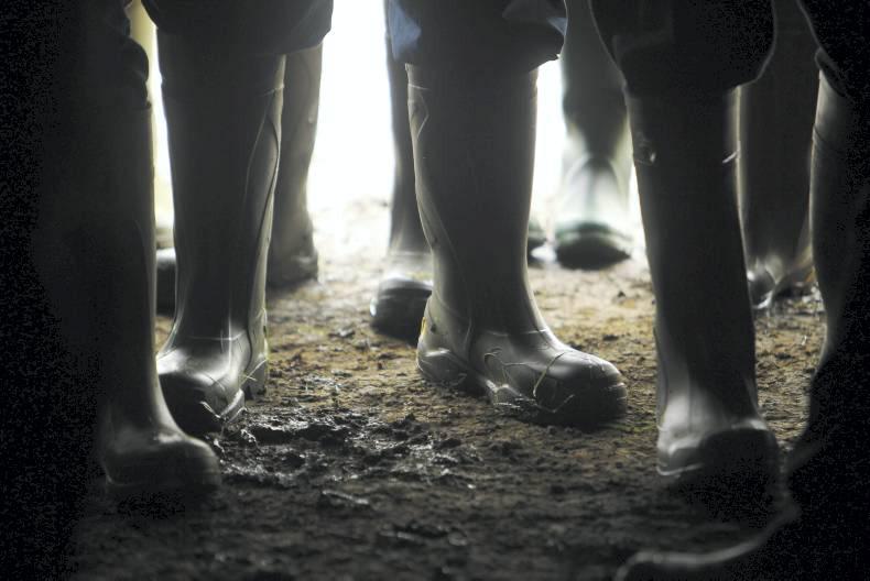 A Farmer Writes: An inspector calls A Farmer Writes: An inspector calls