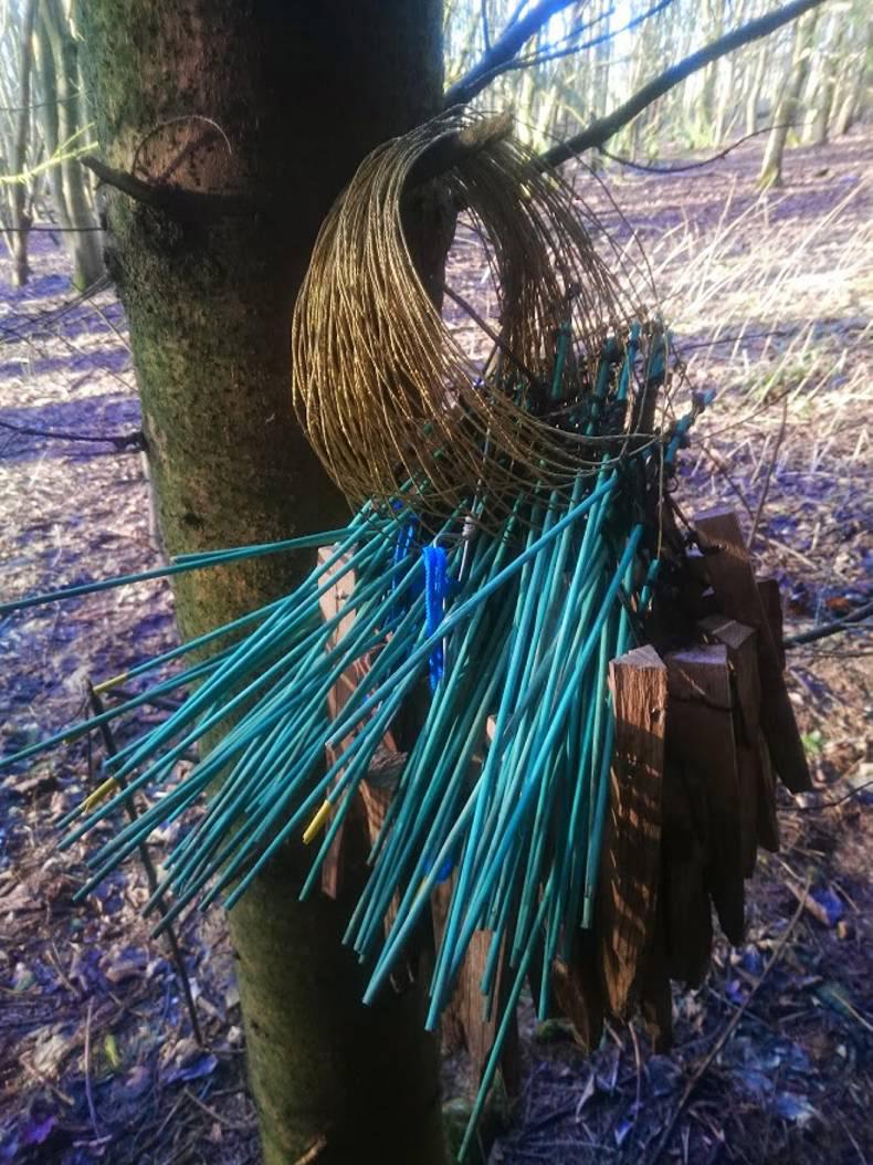 Rabbit control in modern farming Premium