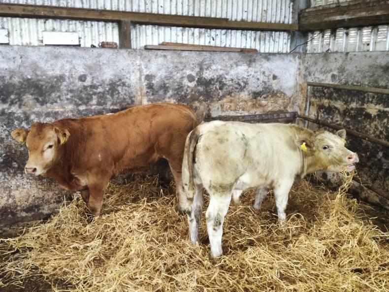 Focus: Winter indoor management Focus: Winter indoor management