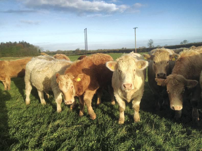 Farmer Writes: A look at the books Farmer Writes: A look at the books