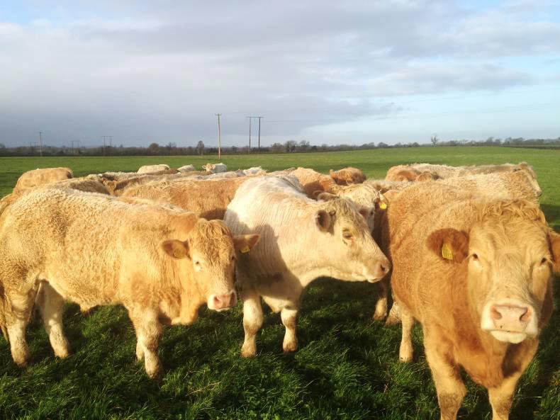 Farmer Writes: A look at the books Farmer Writes: A look at the books