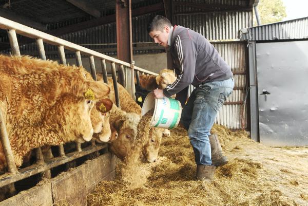Spare Rations Farming What are farmers paying for winter rations? - Premium