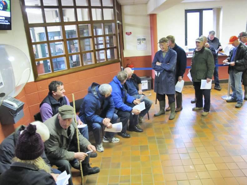 It's out with the frying pan in Ennis and Kilkenny marts It's out with the frying pan in Ennis and Kilkenny marts