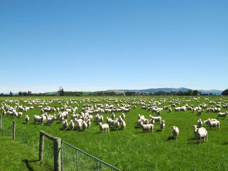 Mercosur coming up on blind side Mercosur coming up on blind side