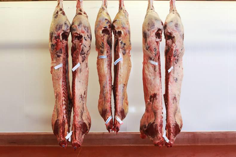 Cattle prices: Trade stuck in gear Cattle prices: Trade stuck in gear