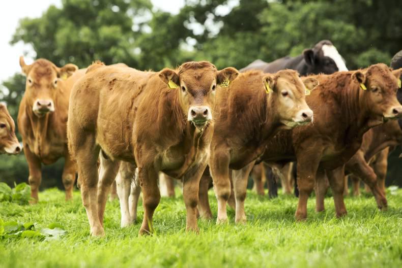 €285m in payments due out next week €285m in payments due out next week