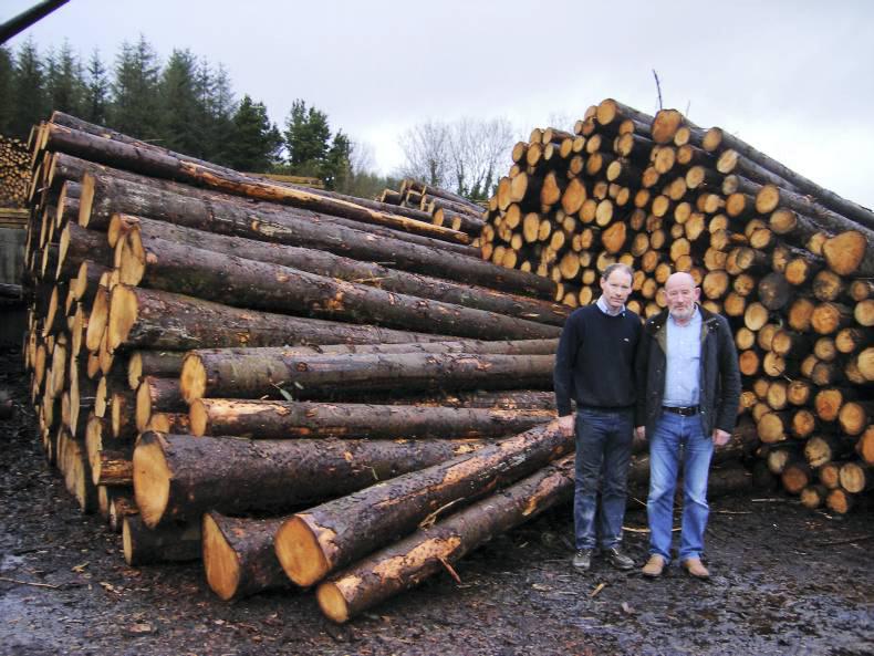 Proud sawmilling tradition in Mohill 02 December 2015 Premium