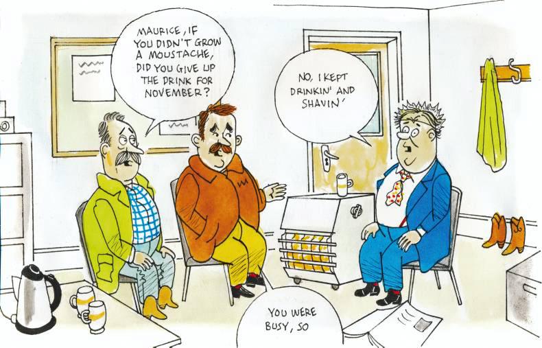 The fallback plan The fallback plan