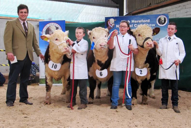 Suffolks sell to 4,000gns in Blessington Suffolks sell to 4,000gns in Blessington