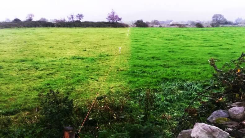 Irish grazing system produces environmentally friendly N2 gas Irish grazing system produces environmentally friendly N2 gas