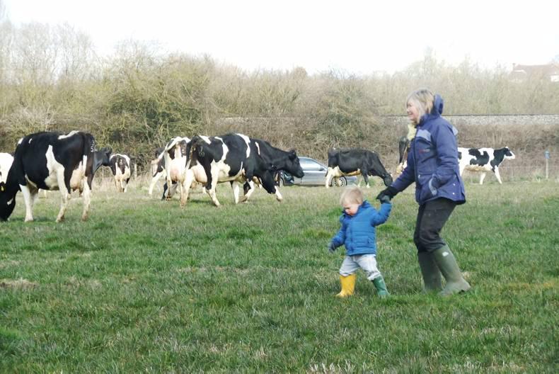 Farmer writes: combining the best of Irish grass-feeding with British dairying Farmer writes: combining the best of Irish grass-feeding with British dairying