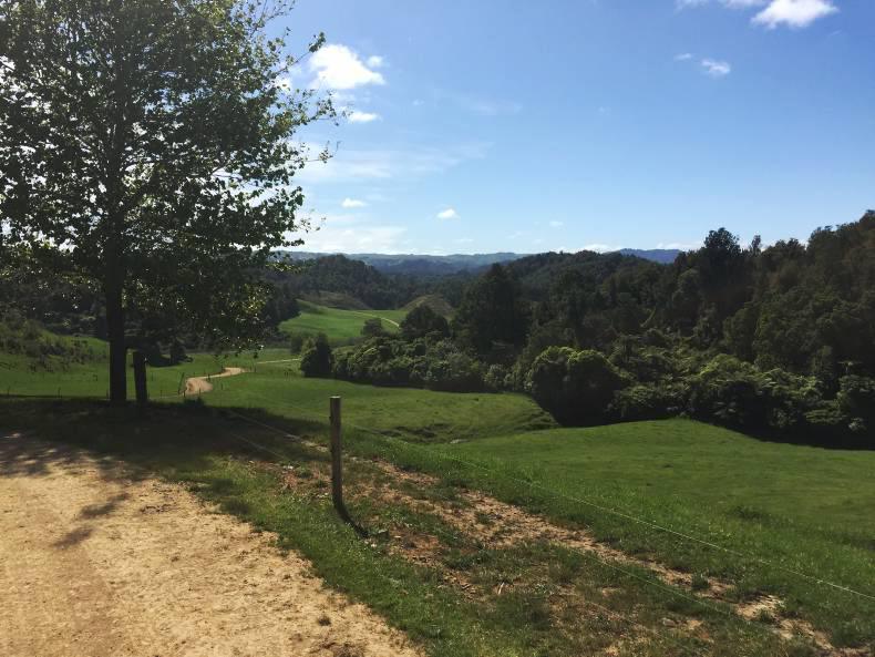 The 12 crucial lessons from New Zealand The 12 crucial lessons from New Zealand