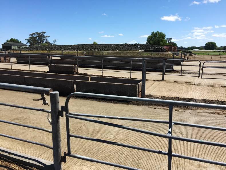 The 12 crucial lessons from New Zealand The 12 crucial lessons from New Zealand